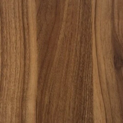 صفحه مغز سبز لئون مات